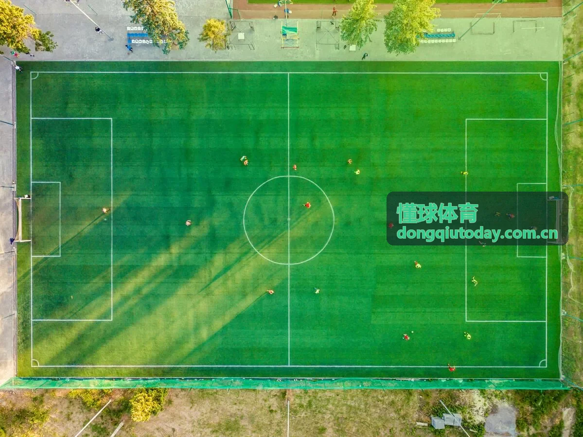 懂球体育伤停情报专题
